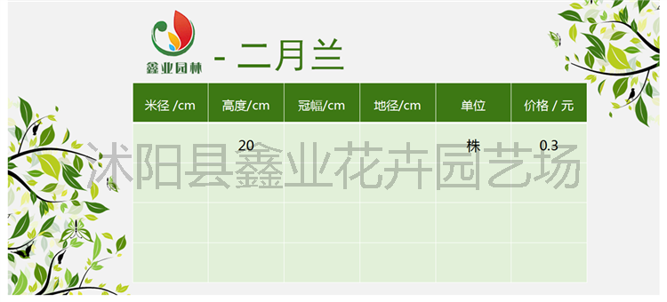 二月兰.png