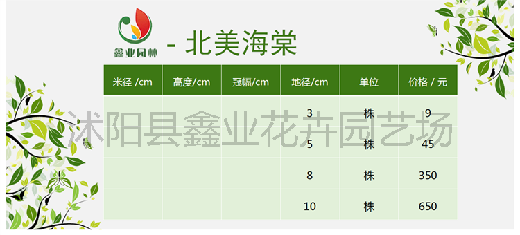 北美海棠.png